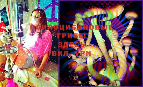 дурь Аркадак