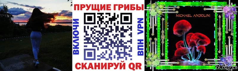 цена   Межгорье  Псилоцибиновые грибы мицелий 